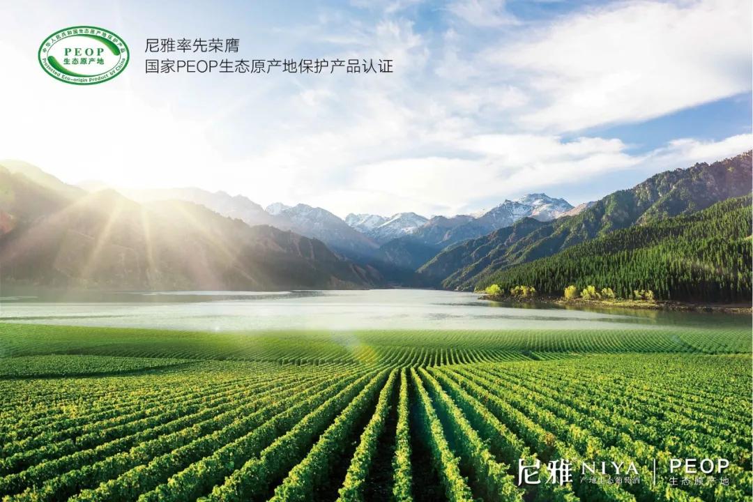 尼雅葡萄酒2015价格表大全,尼雅葡萄酒代理