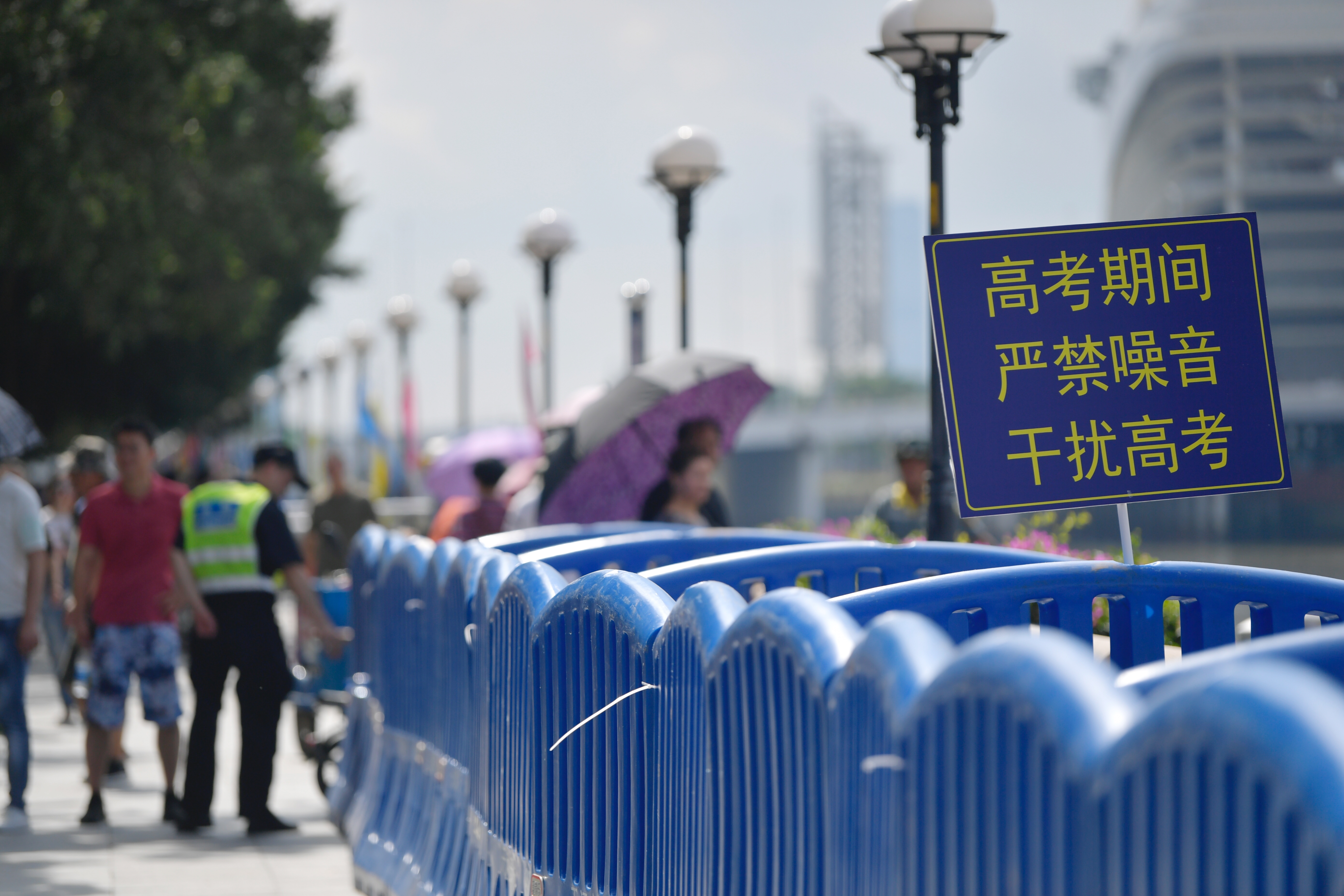 杨箕龙舟,杨箕村龙舟