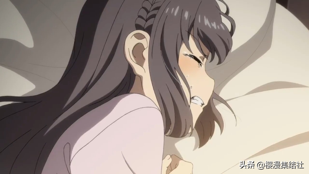 青春猪头少年世界线解释,青春猪头少年到底讲了什么