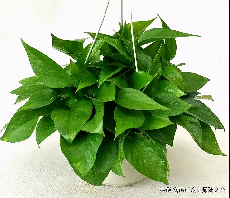 卫生间地漏如何去除异味,解决卫生间地漏异味的方法