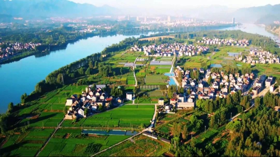 沙漠蝗防控方案,沙漠蝗灾如何防控