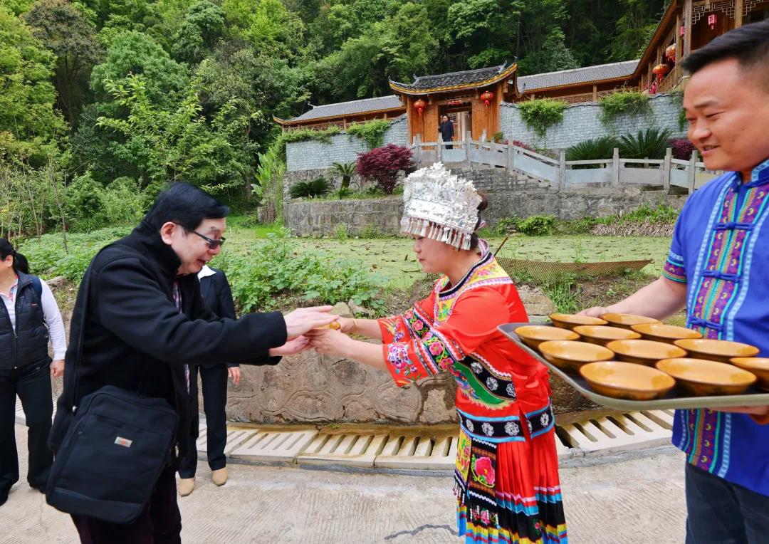 永顺莓茶和张家界莓茶的区别,张家界莓茶什么人不适合喝
