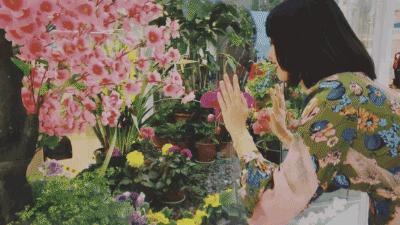 龙湖成都金楠天街,成都龙湖金楠天街哪一期最好