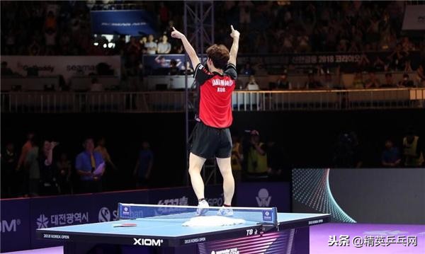 告别比赛后回忆以前比赛,2018乒坛年度盘点