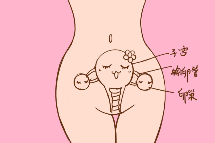 孕妇治妇科炎症有哪些药,孕妇妇科炎症用什么洗液