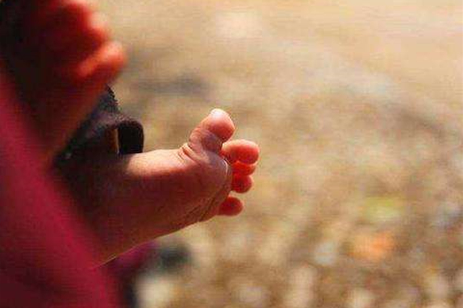 阳光维生素神奇之处,晒太阳补维生素d是通过哪种光线