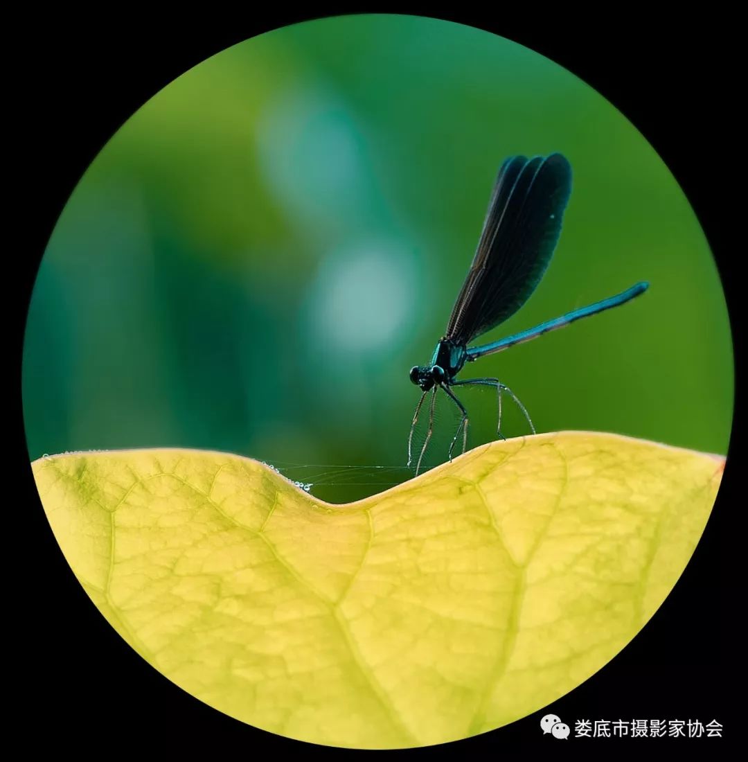 最新风景摄影小品欣赏,娄底景观小品