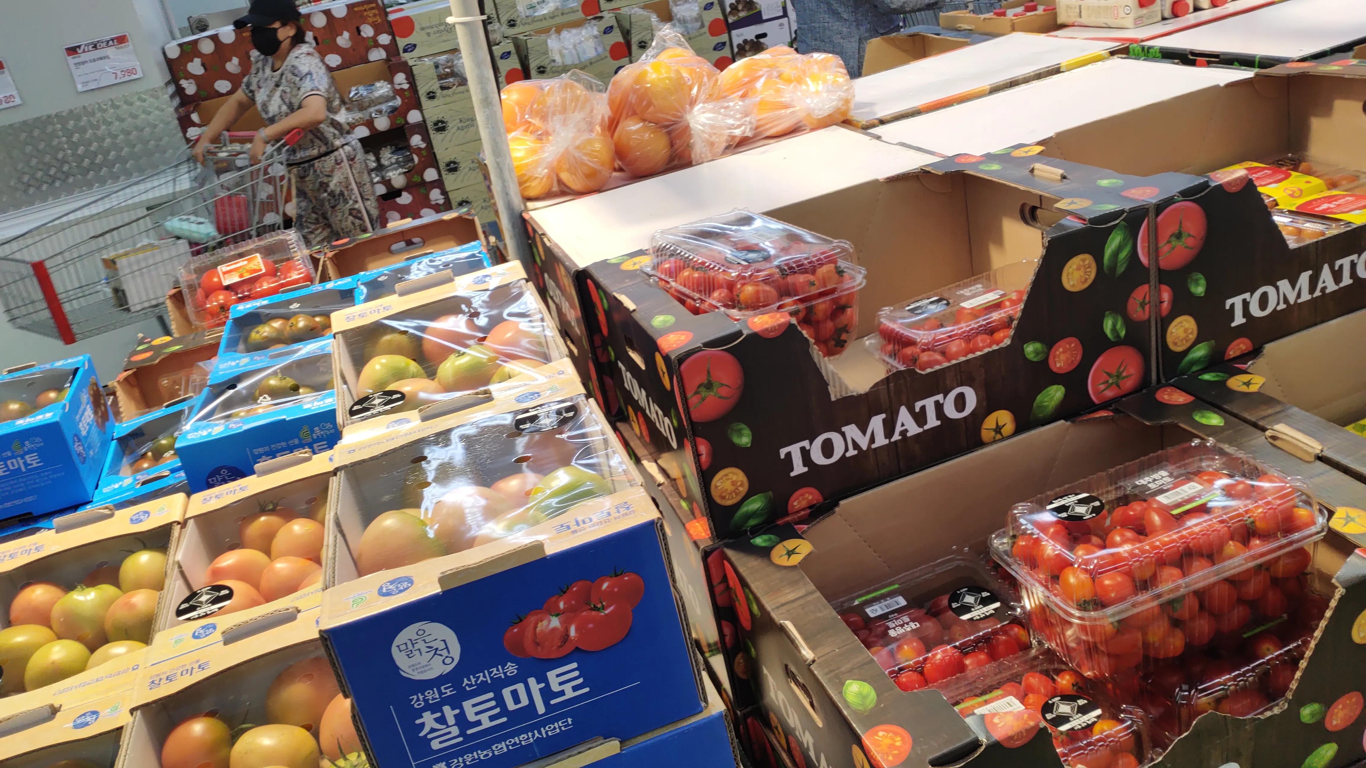 首尔layered咖啡,首尔很多萨摩耶的地方