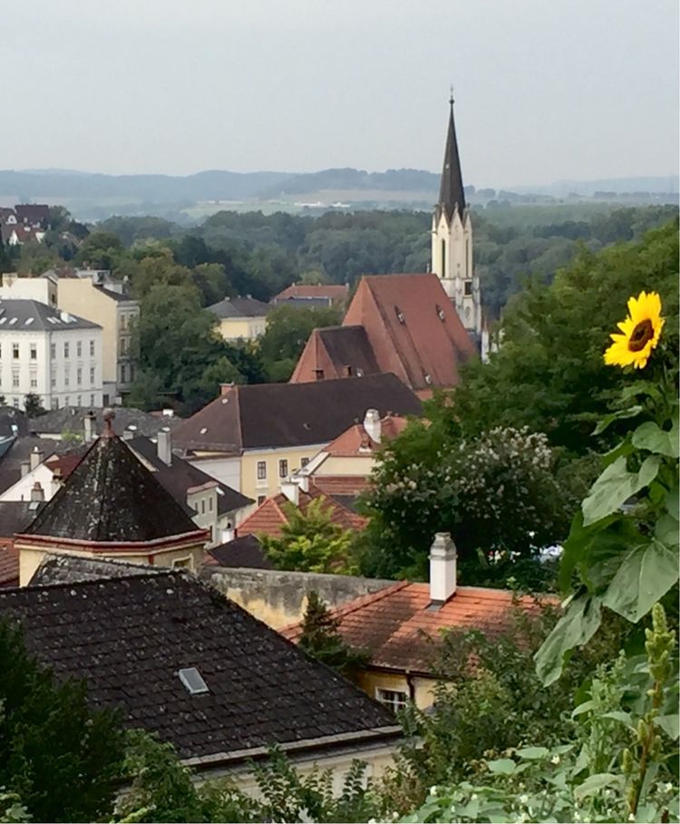 瑞士最美湖畔小镇,奥地利里最美的小镇