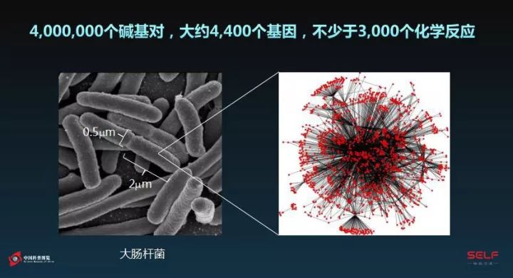 塑料降解微生物的发展,塑料可以被微生物降解吗