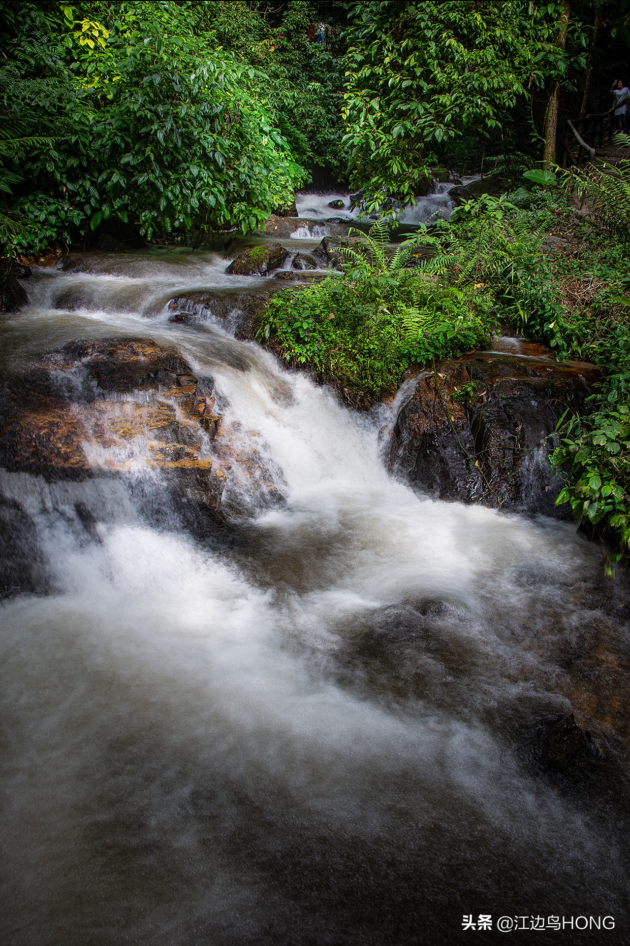 溪水潺潺心旷神怡,美景溪水潺潺