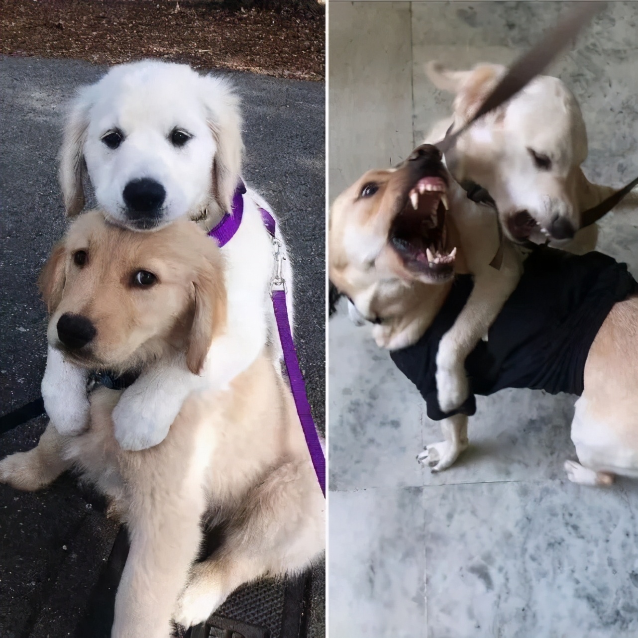 每日内涵囧图,每日囧图笑你一整天