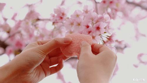 17元/颗的隐形草莓，荷兰来的