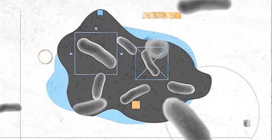 天是蓝的，花是香的，为什么你的屁是臭的？