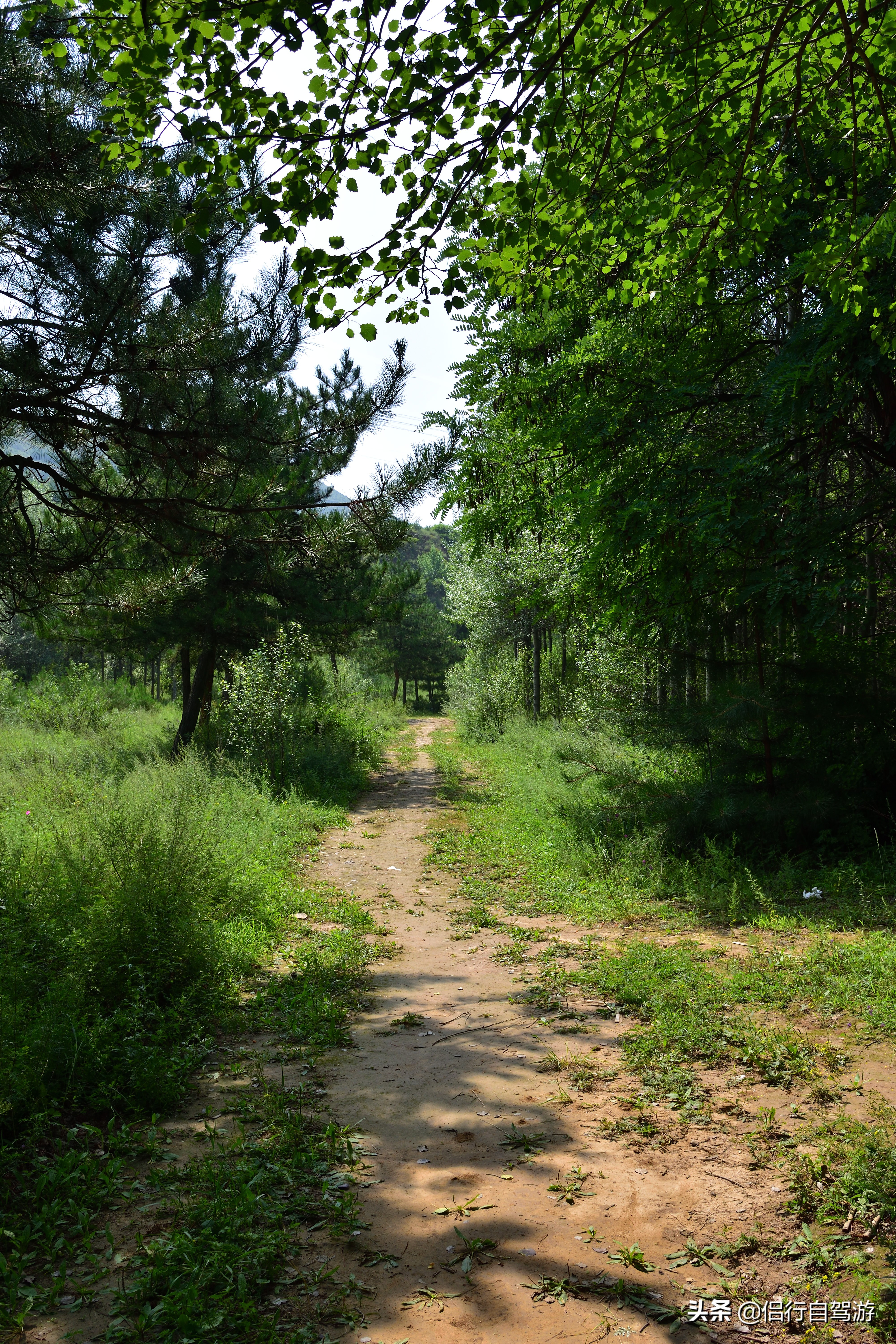 灵丘唐河大峡谷旅游攻略,山西灵丘旅游攻略路线
