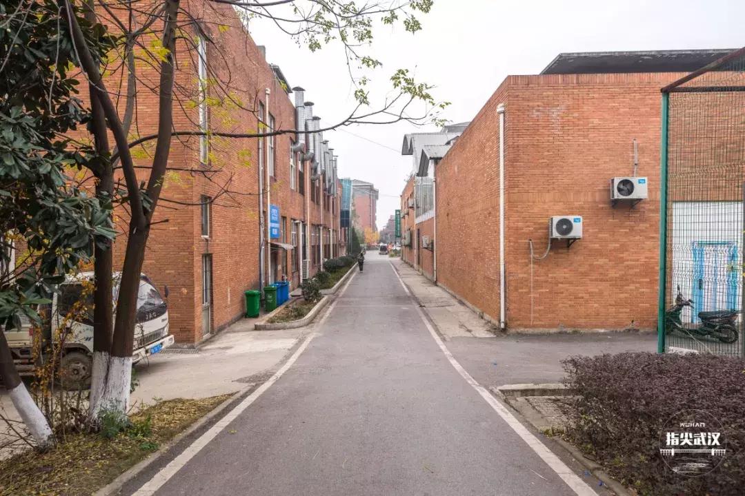 我在汤逊湖畔的华农楚天学院，剪一段复古的小时光