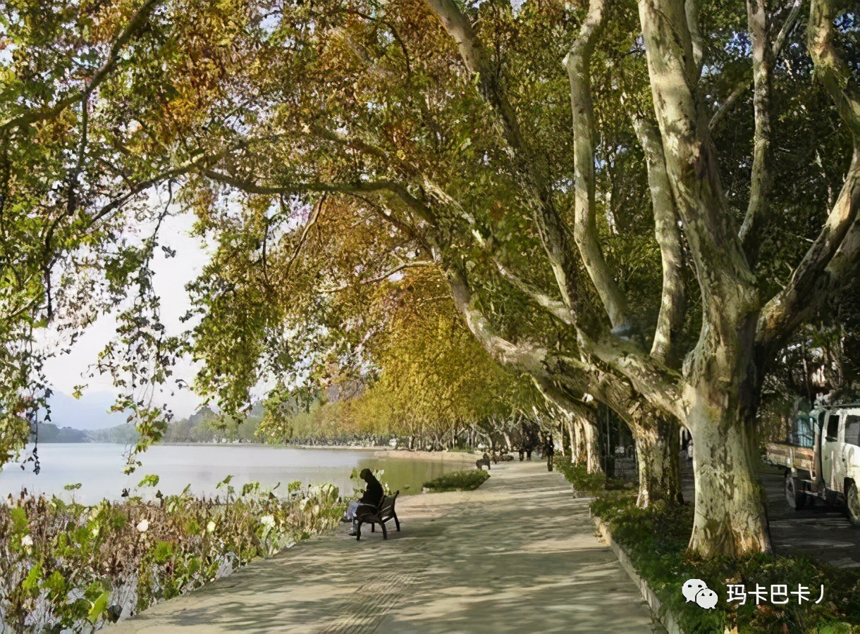 杭州西湖十景纪录片,杭州西湖十景