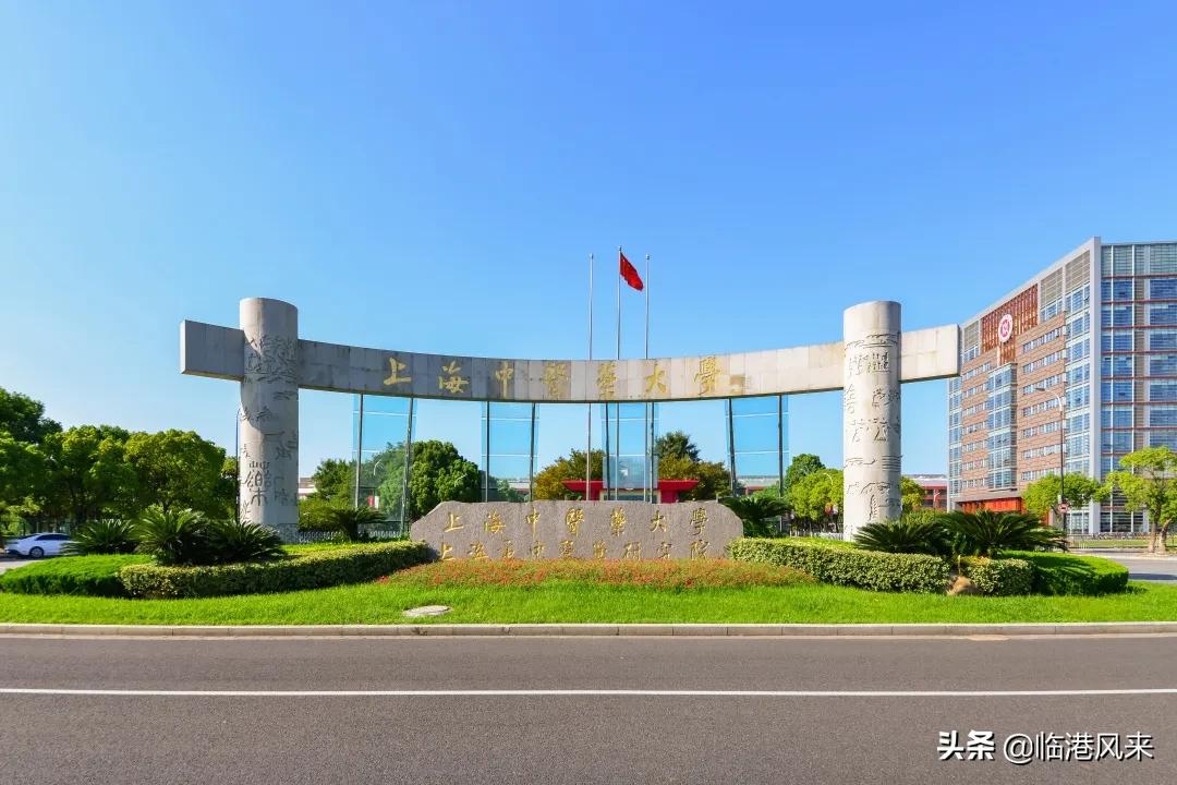 上海有值得一逛的大学吗,上海各大学最适合参观的校区