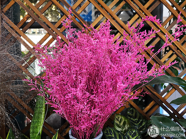 p20徕卡镜头,p20徕卡相机