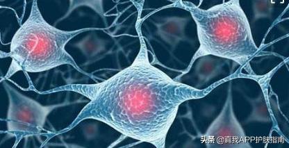 烟酰胺美白身体乳长毛吗,烟酰胺美白作用真的吗