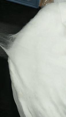 蚕丝的内幕,蚕丝被内幕曝光