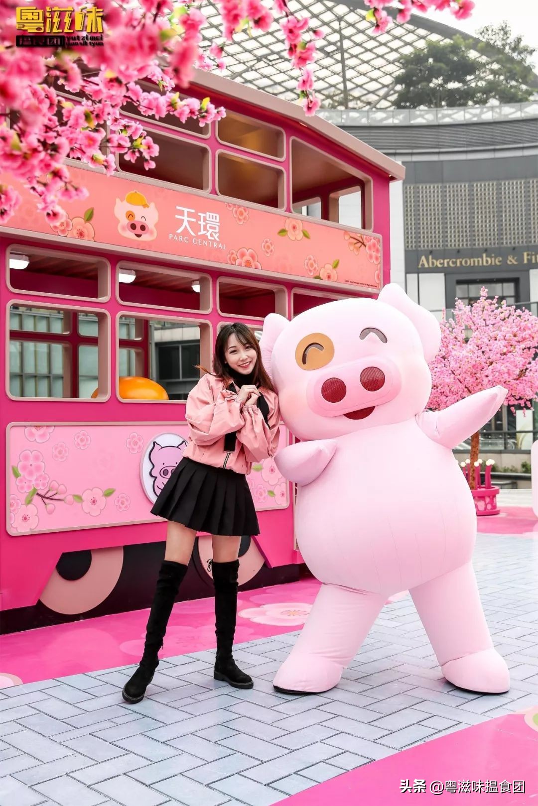 麦兜潮玩,麦兜打卡地