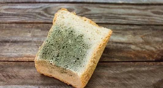 老外丧尸末日生存,老外看末日求生罐头