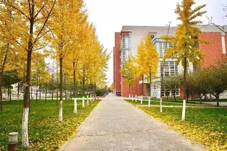 19年高考报名时间和方式,2019年高考报名条件及时间