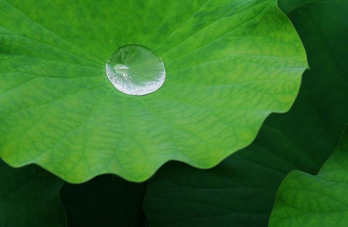 期货交易顺势而为顺什么势,期货日内交易怎么做到顺势