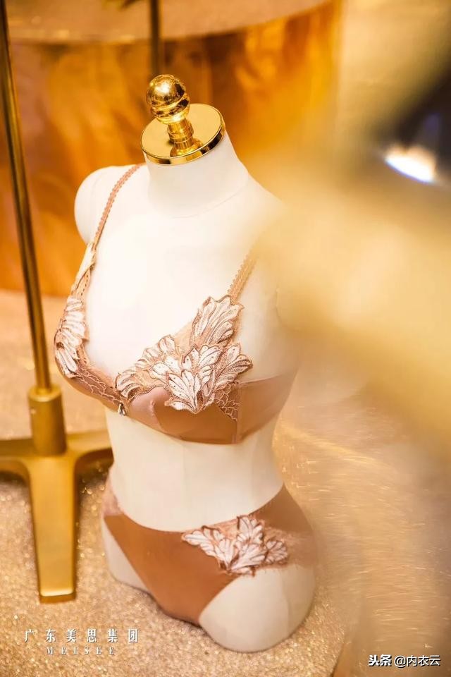 美思集团有限公司,美思集团辉煌30周年庆典