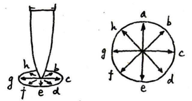 书法创作要不要“回锋”？苏东坡的这句话是很好的回答！