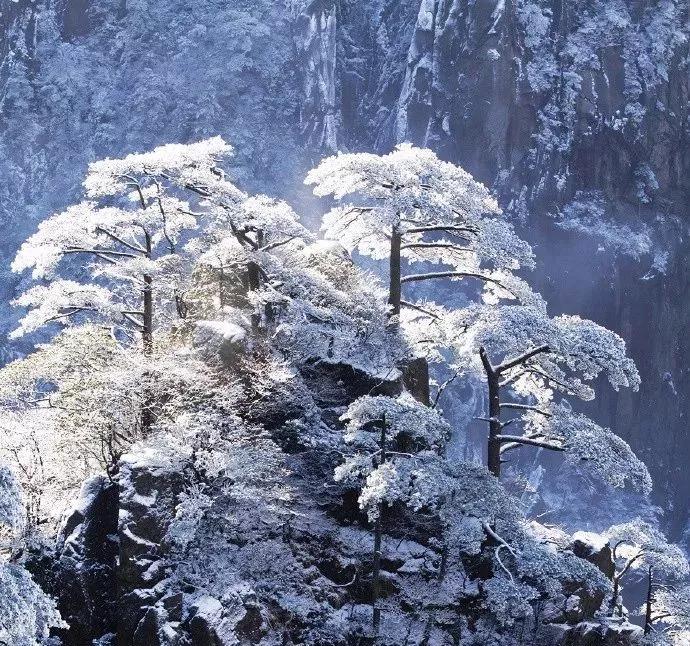 此生必去看一次雾凇太美了,此生必去看一次雾凇简直要美哭了