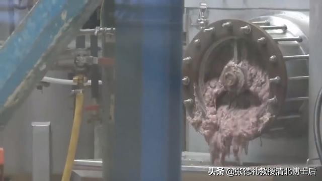 外媒曝光了挪威三文鱼养殖真相吗,挪威三文鱼养殖环境恶劣新闻