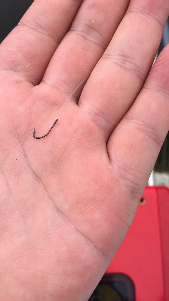 太极宗师轻禅版鱼竿,太极宗师鱼竿本汀