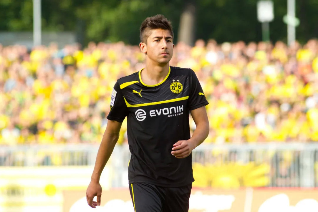 多特青训遗珠图,多特青训遗珠推荐