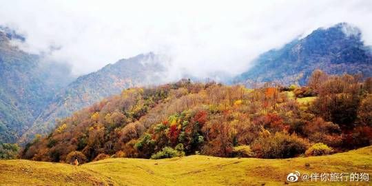 想带你去欣赏秋季的童话——甘海子