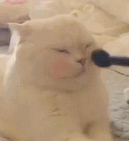 nars腮红最火色号推荐,nars腮红和倩碧小雏菊