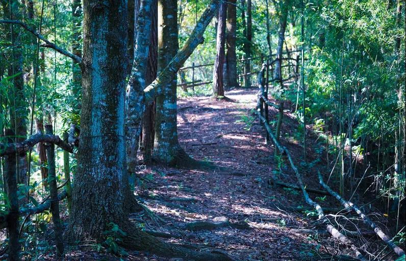 经律论温泉小镇门票,广东经律论温泉度假酒店