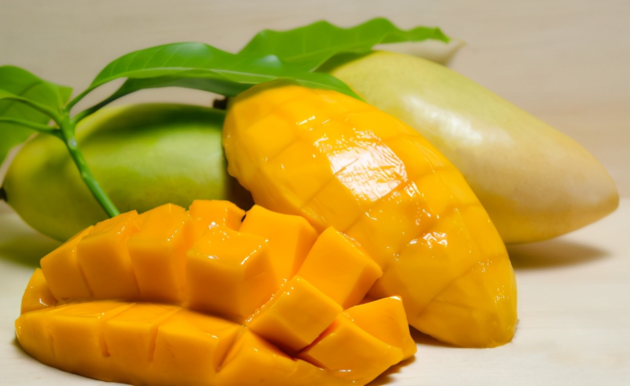 狗狗不能吃的八大食物,狗狗不能吃的十种水果有哪些