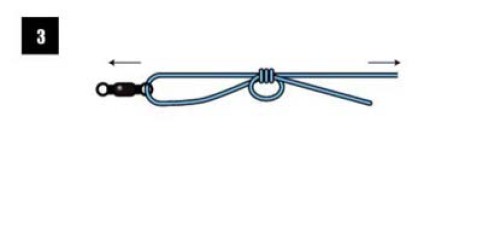 钓鱼人如何绑线结,钓鱼人应会的常用线结