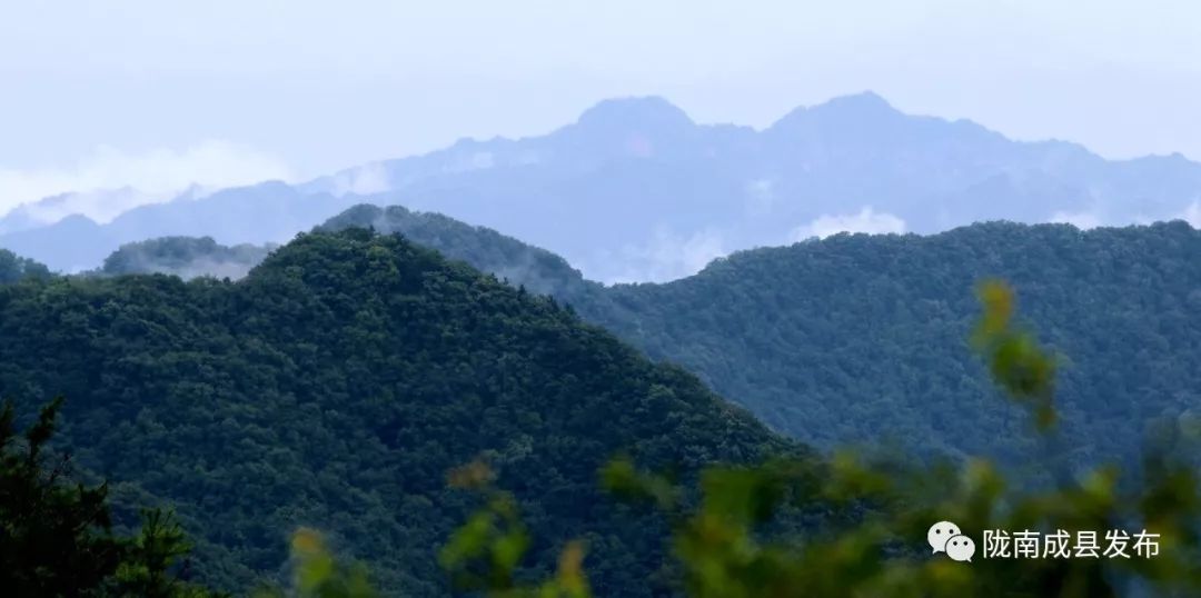 我叫成县，这是我2019年的自拍照~