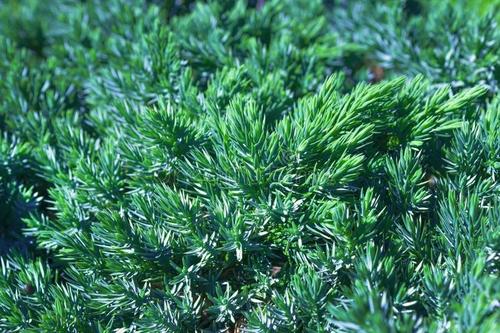 去黑头最有效最简单的方法,最简单有效的去黑头的方法