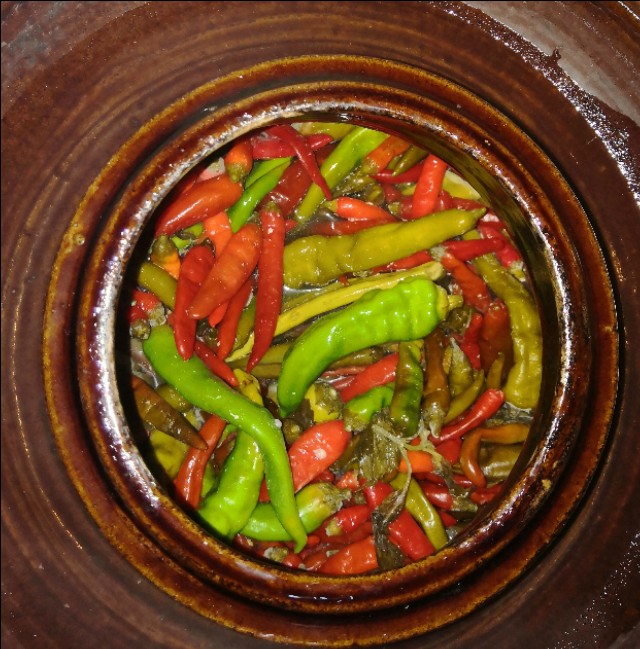 炎炎夏日,吃坛子菜,开胃又爽口