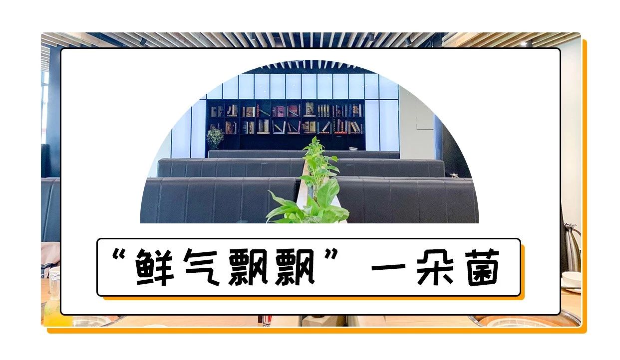 昆明黄牛火锅,昆明清真牛干巴火锅