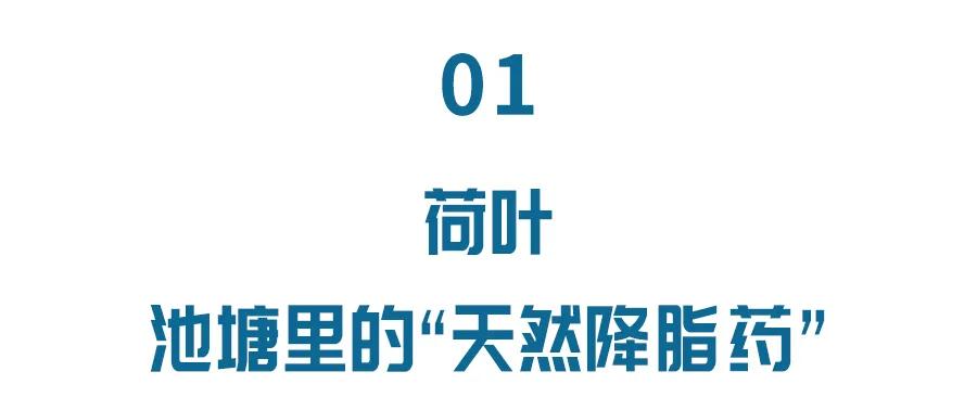 池塘里的“天然降脂药”,能吃能喝,能泡澡!还有这两个“养身宝”,你也别错过