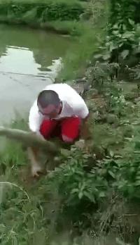 搞笑gif妹子这手速老厉害了,搞笑gif开心一刻不按常理出牌