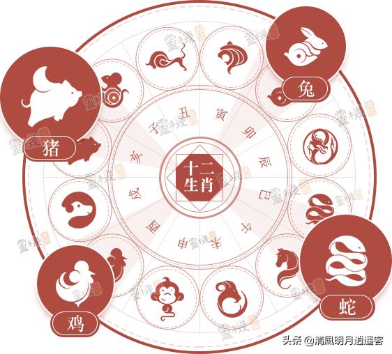 生肖属相常识大全,如何根据年龄判断生肖属相