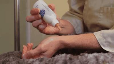 猫咪太小怎么喂,猫咪太小怎么用猫砂