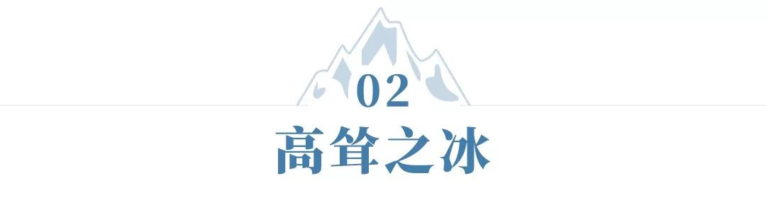 新西兰为什么那么发达,新西兰为什么这么牛