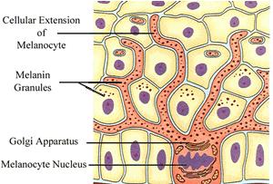 李小冉五官精致皮肤白皙透亮,70后女演员李小冉的高级搭配
